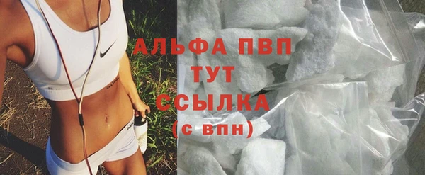 стафф Лабытнанги