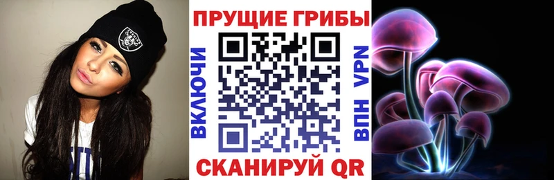 Купить Комсомольск Псилоцибиновые грибы MAGIC MUSHROOMS